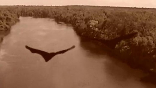 makhluk kekelawar raksasa misterius